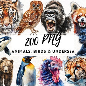 Animais da floresta, animais da selva em aquarela, animais e pássaros reais, gráficos PNG de animais, PNG de alta qualidade, uso comercial