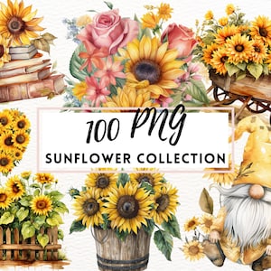 Zestaw 100 PNG, Słonecznikowy pakiet clipart, Akwarela Słonecznik PNG, Sztuka botaniczna, Tworzenie kartek, Dziennikarstwo, Cyfrowe rzemiosło papiernicze, Cyfrowe PNG