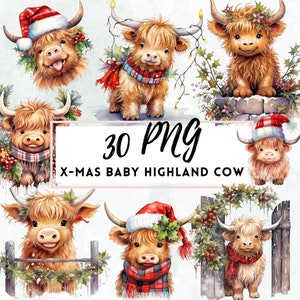 クリスマス ハイランド ベビー カウ 水彩画 クリップアート、カウ PNG バンドル、クリスマス ハイランド カウ、赤ちゃん動物、ベビー カウ クリップアート バンドル、ホリデー ベビー カウ