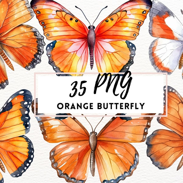 Orange Butterfly, Orange Butterflies Clipart SET, Transparent PNG Clipart, Watercolor Butterfly Clipart, Graphic Orange Butterfly Bundle