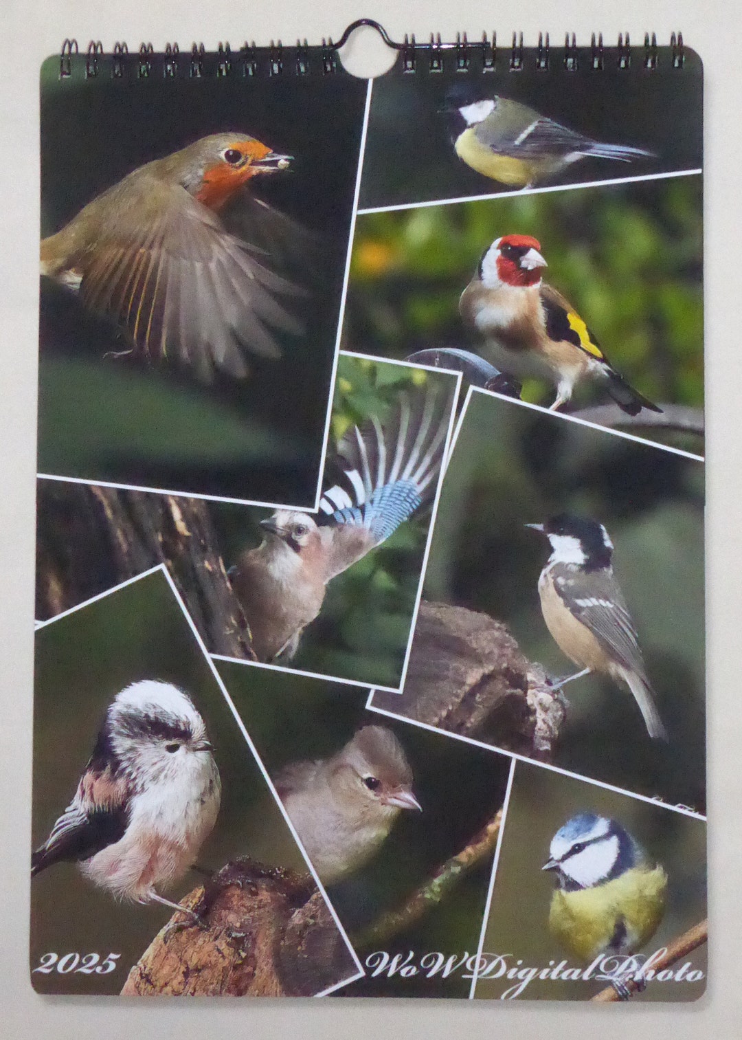 Handmade Wildlife British Birds Calendar 2025 Unique Photographs