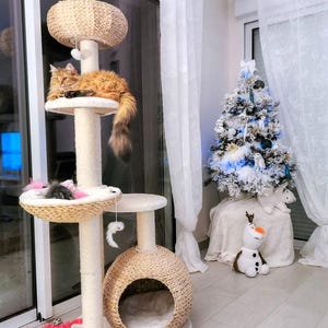 May include: A beige cat tree with a brown cat lounging on the top platform. The cat tree has a round bed at the bottom, a round platform in the middle, and a round platform at the top. The cat tree is in a room with white curtains and a small white Christmas tree decorated with blue and white ornaments.