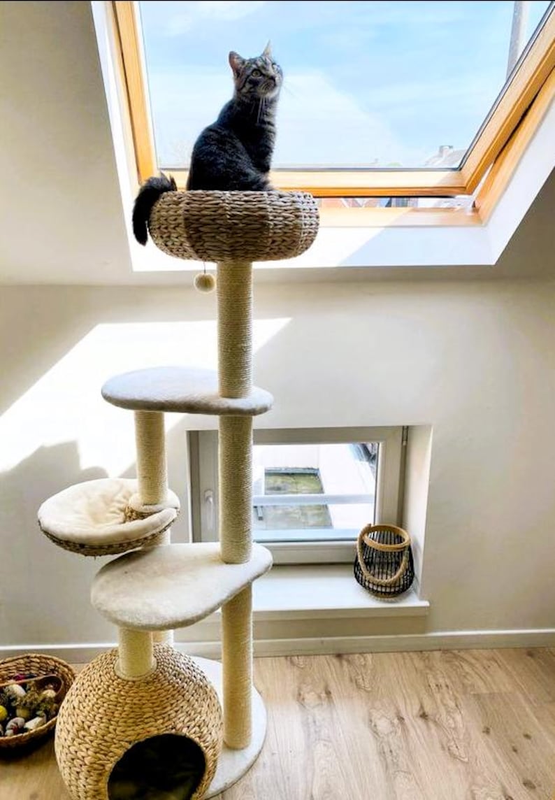May include: A beige cat tree with a woven basket on top, a cat sitting in the basket, and a smaller woven basket on the bottom. The cat tree is in a room with a skylight and a window.