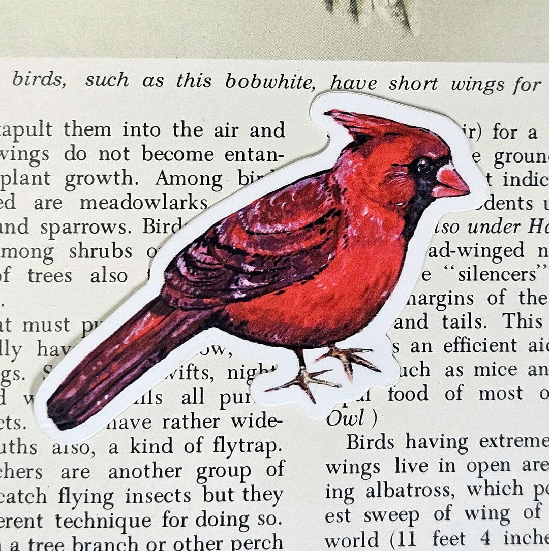 Cardinal Die Cut Sticker/ Realistic Cardinal Painting/ Hand Painted ...