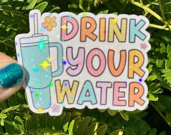 Stay Hydrated Sticker Water Sticker Drink Water Sticker Stanley Sticker Water Bottle Sticker Hydrate or Diedrate Sticker Stay Hydrated