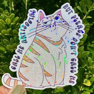 May include: A holographic sticker featuring a grumpy cartoon cat with the text "Call me antisocial but please don't grab me." The cat is white with brown stripes and a rainbow tail. The sticker has a glittery effect.