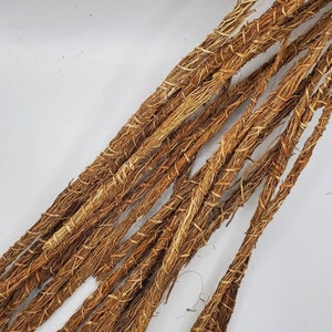 20 stems GONGOLI Vetiver Khamare Cepp