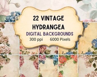 Antique Watercolor Hydrangea Digital Backgrounds for Portraits, landscapes, Scrapbooking, invitations, Print PNG images,  commercial license