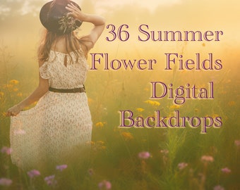 Digital Overlay Backgrounds and Textures for Portraits Landscapes Pets and Architecture, High Quality Summer Flower Fields Digital Paper