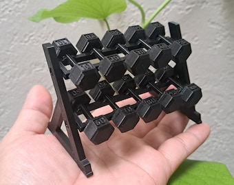 Mini Magnetic Gym Set — Dumbbell, Kettlebell, Barbell, Dumbbell Rack