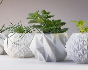 Custom 3D Printed Planters - Unique and Personalized Home Decor
