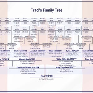 May include: A colorful family tree chart with names and dates of birth and death. The chart is organized in a traditional tree format with branches extending from the top to the bottom. The chart is on a pink background with purple and blue accents.