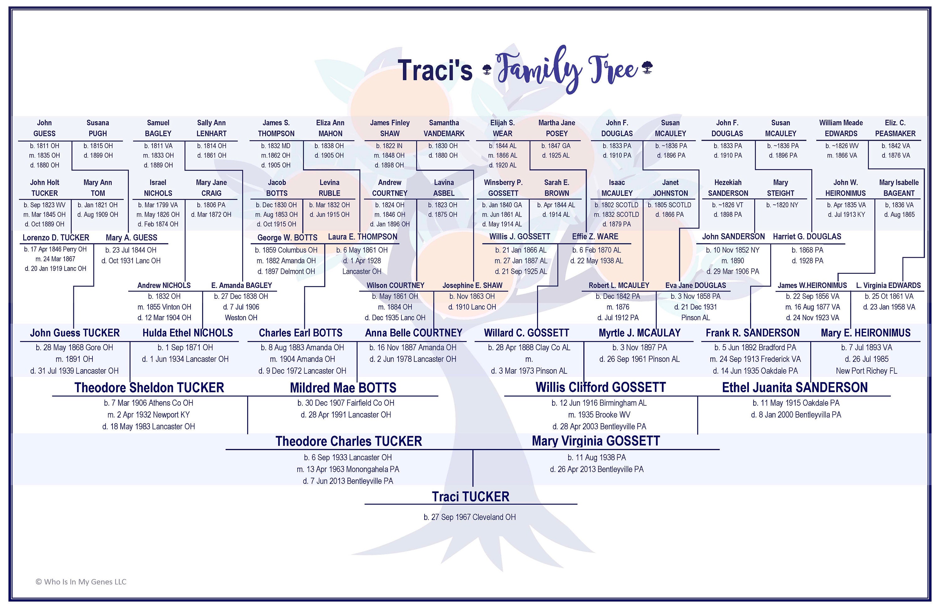 EDITABLE Family Tree Chart/Diagram or Pedigree Chart Template - Six Generation PDF Form