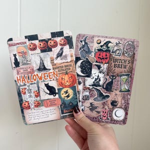May include: Two Halloween-themed decorative panels. One features pumpkins, a black cat, a witch's hat, and the word "Halloween." The other panel has a witch on a broom, a black cat, a candle, and the words "Witch's Brew."