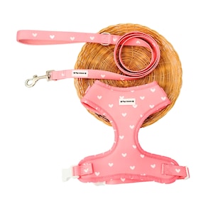 Pink Harness & Leash Set for Dogs - Pretty in Pink Hearts Collection, Dog Puppy Gift, Holiday Gift For Dog Lovers, Harness For Girl Dog