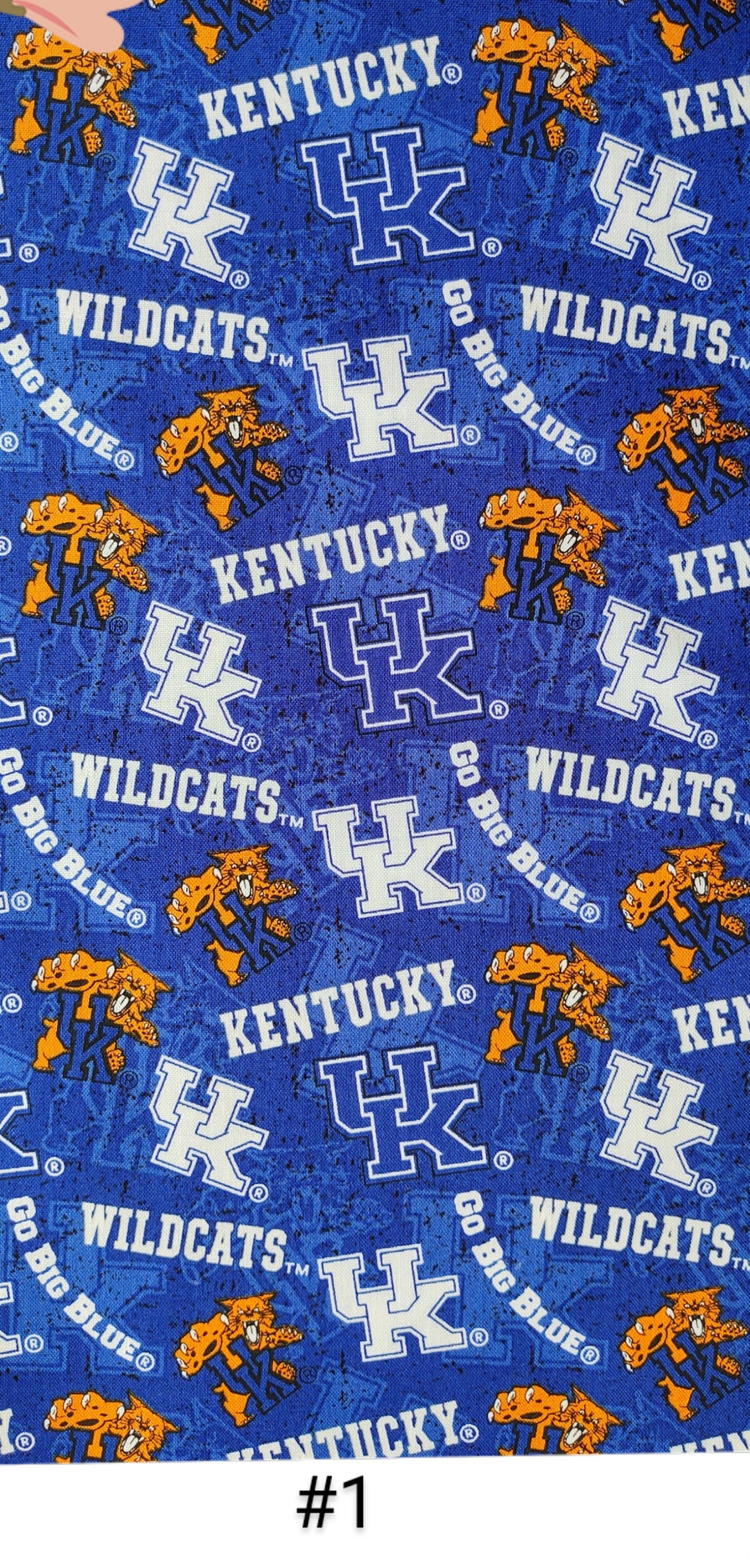 Kentucky Wildcats Print Slogan Style Stitched Uniform main image 1