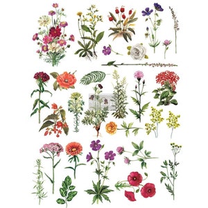 Redesign With Prima Decor Transfers Floral 24&quot;x34&quot; Rub On Decal Rub On Transfers For Furniture Furniture Decals Transfer Furniture Transfers