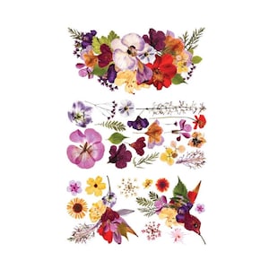 Organic Flora Furniture Transfers | Pressed Flowers Rub On Decals (3 sheets, 6x12 Each)
