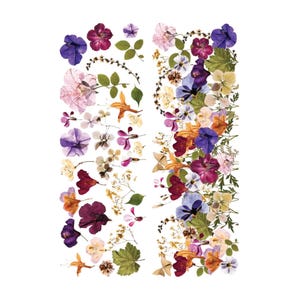 Furniture Transfers | Pressed Flowers (24 x 35) - ReDesign with Prima
