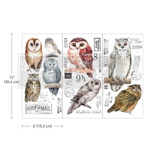 Kleine Eule 6 &quot;x 12&quot; Transfers für Möbel reiben auf Aufkleber Rub On Möbel Möbel Abziehbilder Möbeltransfers