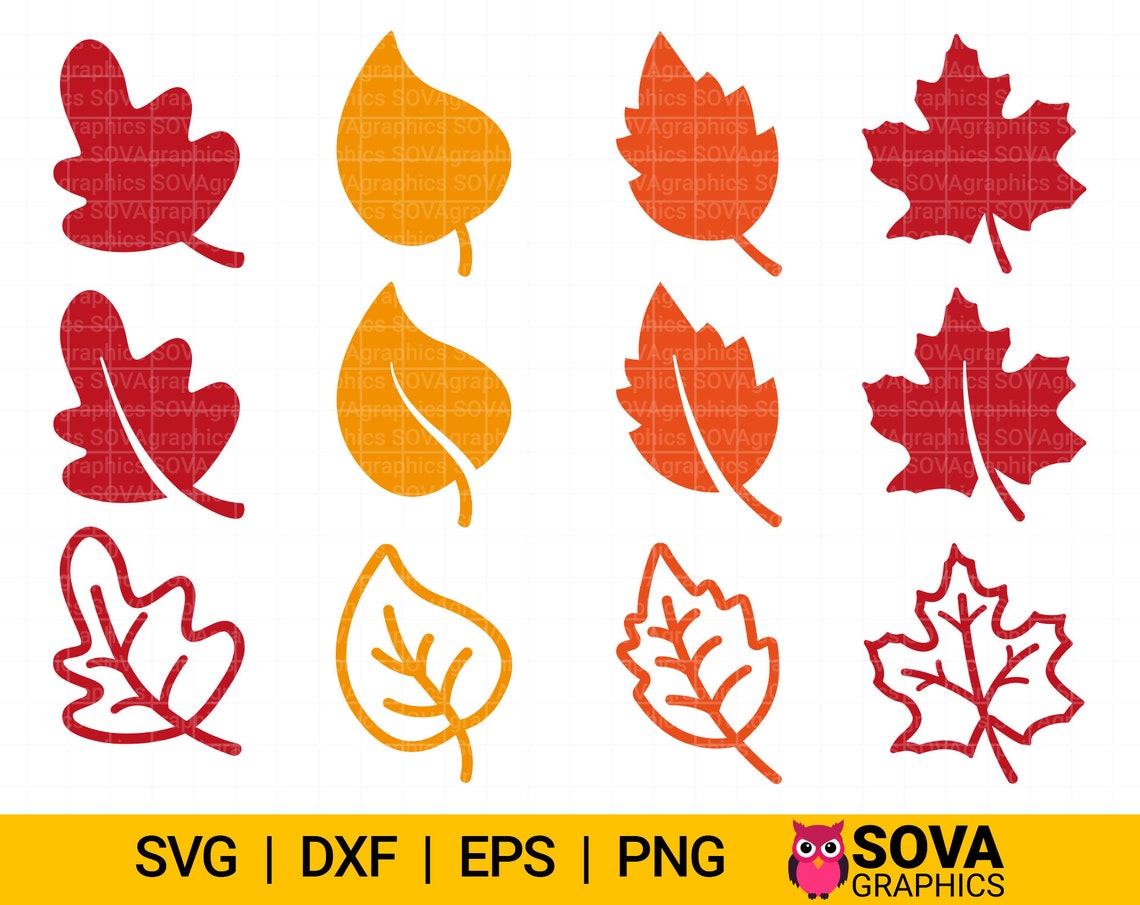 Autumn Leaves Svg, Fall Leaves Svg, Leaves Svg Bundle, Autumn Svg, Fall ...