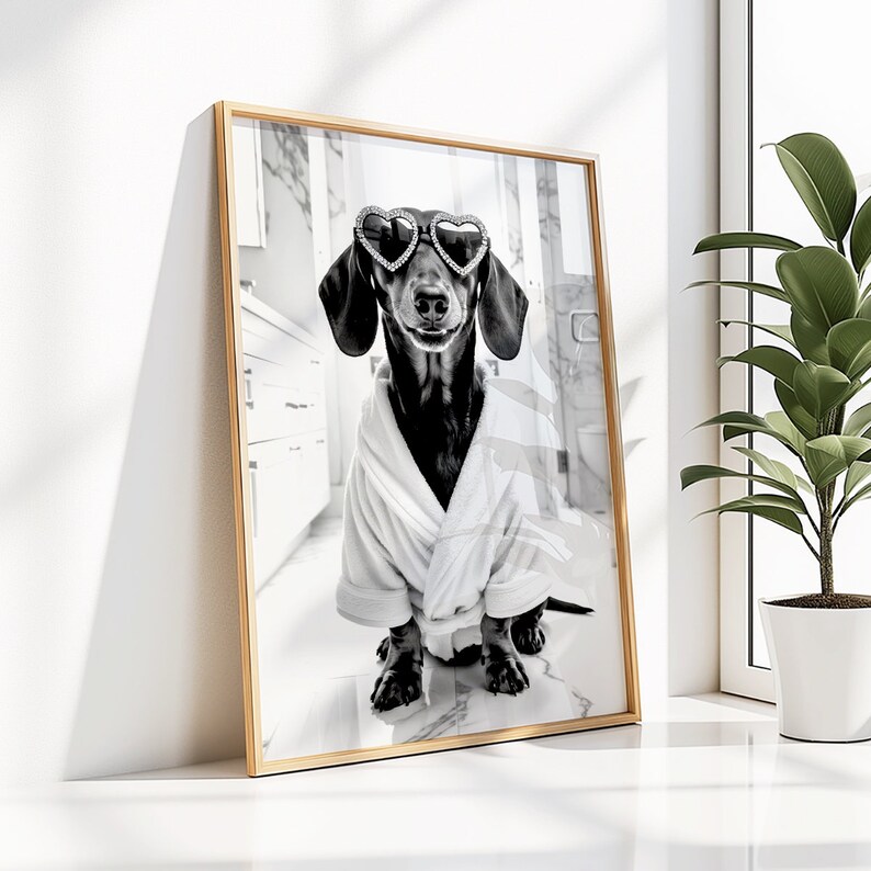 May include: A black and white photo of a dachshund wearing heart-shaped sunglasses and a white bathrobe. The dog is sitting on a marble floor in a bathroom.