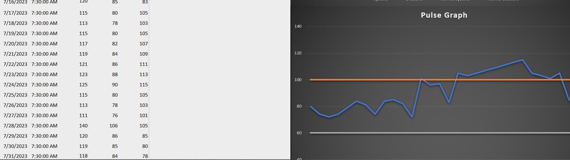 Blood Pressure and Pulse Tracker Excel Spreadsheet - Etsy