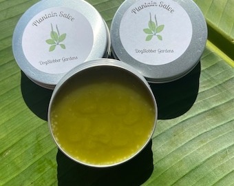 Plantain Salve for Bug Bites, Bee Stings & Spider Bites