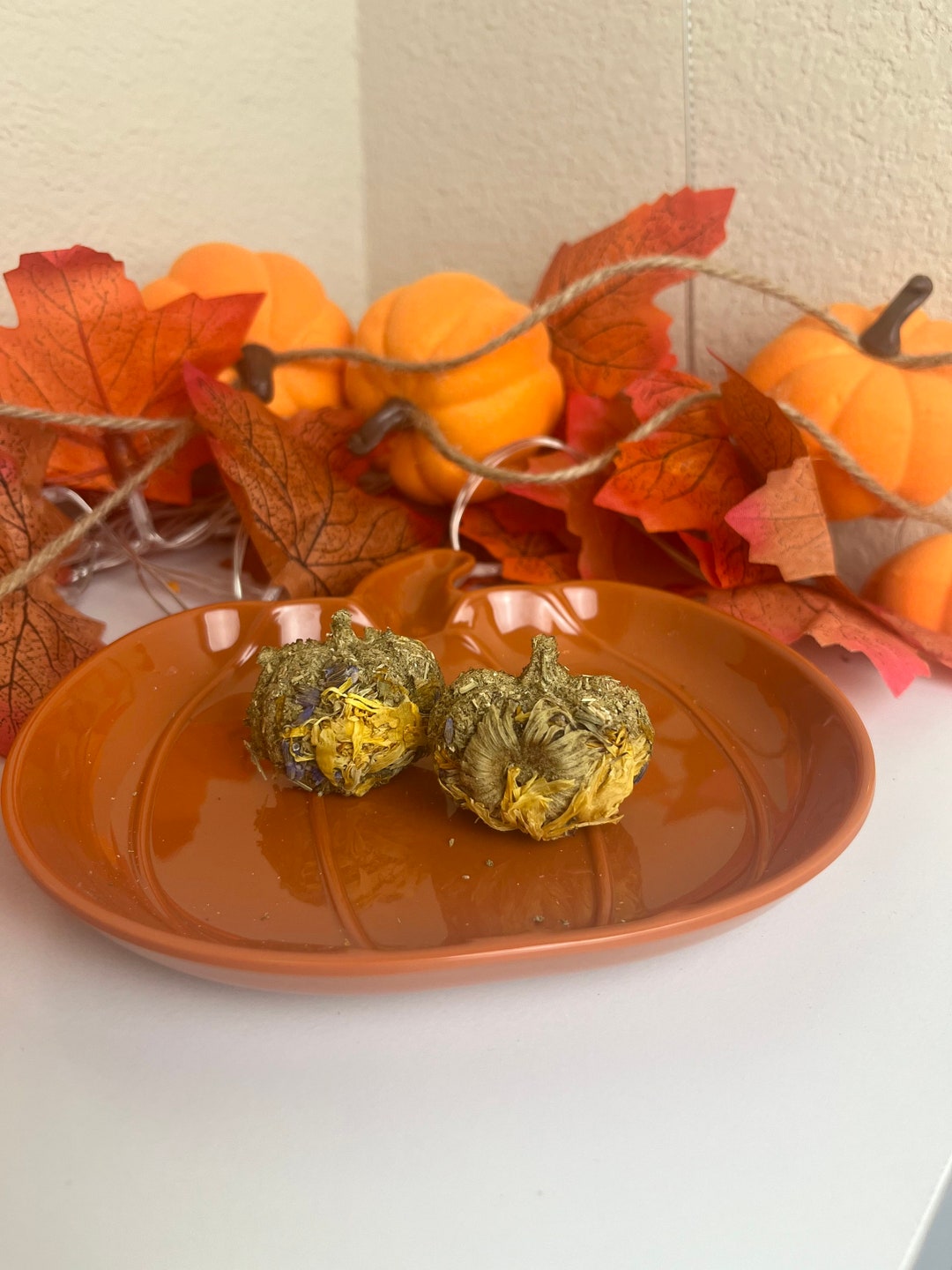 Curated visual reference: Gallery Detail: Pumpkin Flower Biscuits For Guinea Pigs Rabbits Other Small Pets