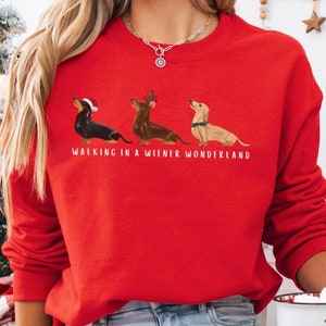 Dachshund Christmas Sweater Gift for Doxie Dog Lover Sweatshirt Matching Xmas Doxin Crewneck Women Loungewear Weiner Dog Lover Shirt for Her
