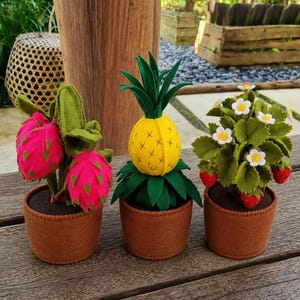 Peut inclure: Trois plantes en feutrine dans des pots. La plante de gauche présente deux fruits du dragon rose vif avec des écailles vertes. Celle du centre est un ananas jaune avec des feuilles vertes. Celle de droite a des feuilles vertes, des fleurs blanches et des petites fraises rouges.