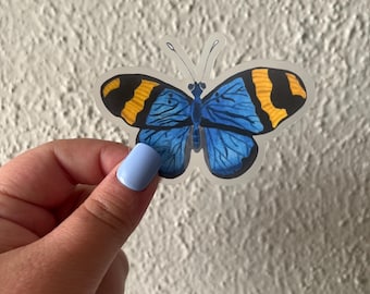 Clear Butterfly Sticker: Euphaedra Neophron