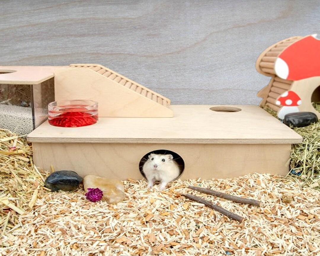 Multi-chamber Hamster House Maze: Multi-room Hideouts & - Etsy - Hamster Hideouts With Easy Cleaning Features