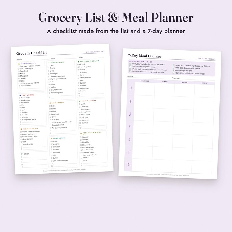 Gut Health Food List Printable, Fermented and Prebiotic Foods, Grocery List, Letter A4 image 7