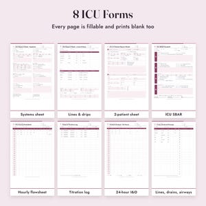 Nurse Report Sheet ICU, Fillable Critical Care Brain Sheet, Drips, Flowsheet, SBAR, Letter A4 image 3