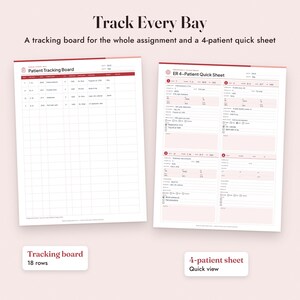 ER Nurse Report Sheet, Fillable Emergency Nurse Brain Sheet, Triage Notes, SBAR, Tracking Board image 6