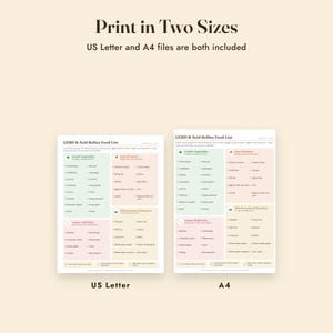 GERD Food List Printable, Acid Reflux Diet, Trigger Food Diary, Grocery List, Letter A4 image 9