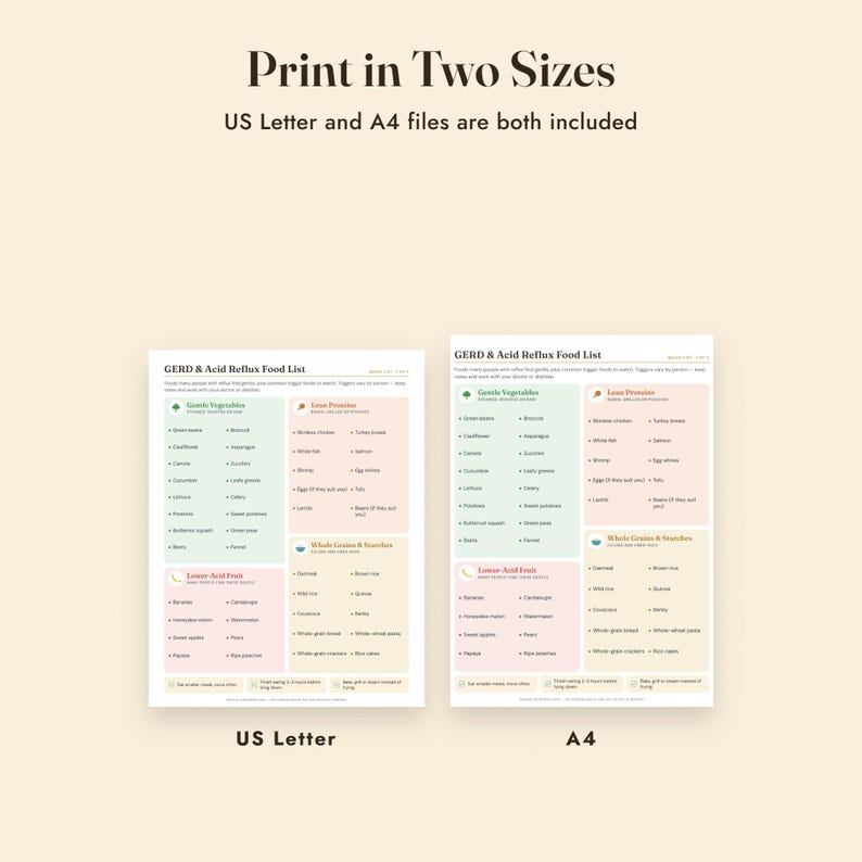 GERD Food List Printable, Acid Reflux Diet, Trigger Food Diary, Grocery List, Letter A4 image 9