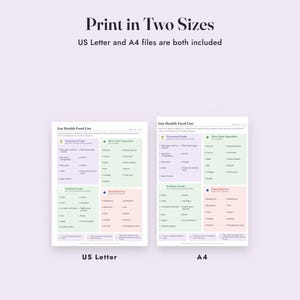 Gut Health Food List Printable, Fermented and Prebiotic Foods, Grocery List, Letter A4 image 9