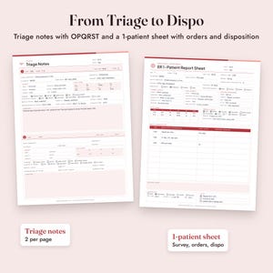 ER Nurse Report Sheet, Fillable Emergency Nurse Brain Sheet, Triage Notes, SBAR, Tracking Board image 5