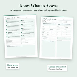 Puede incluir: Dos hojas de referencia de enfermer&iacute;a blancas con detalles en verde oscuro. La hoja izquierda se titula Head-to-Toe Cheat Sheet con diez sistemas de evaluaci&oacute;n. La hoja derecha se titula My Patient Brain Sheet con campos de datos.