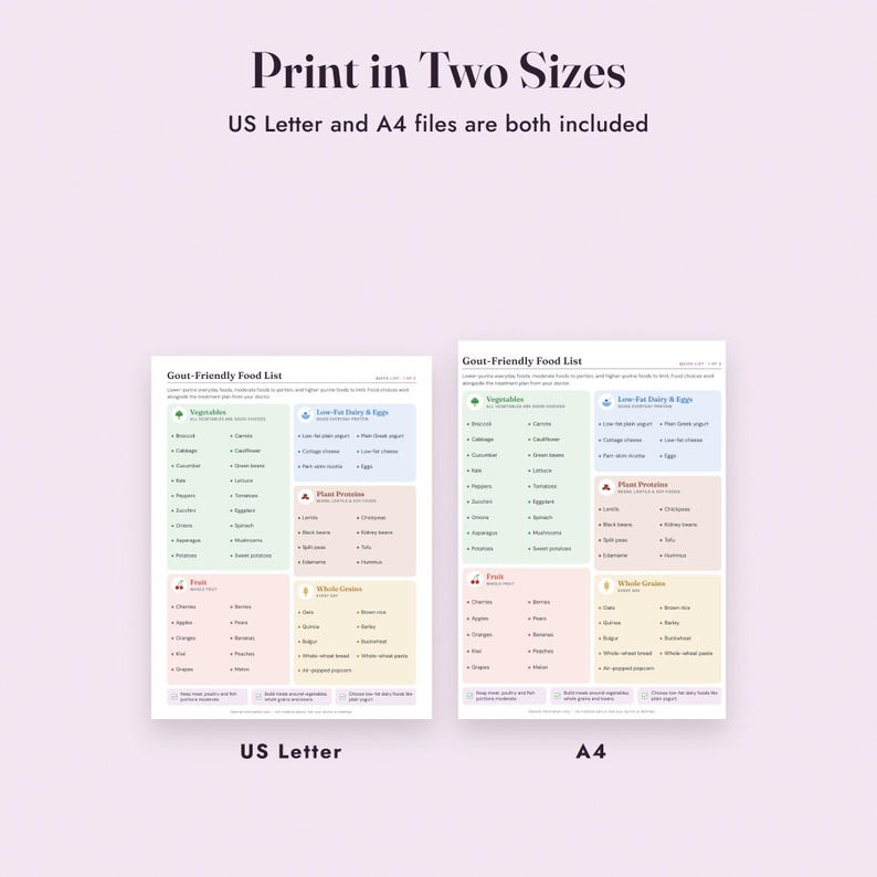 Gout Food List Printable, Low Purine Diet Chart, Grocery List, Flare Log, Letter A4 image 9