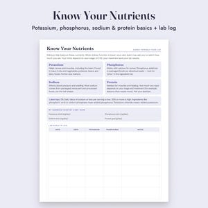 Kidney Diet Food List Printable, CKD Low Potassium Foods, Grocery List, Letter A4 image 6
