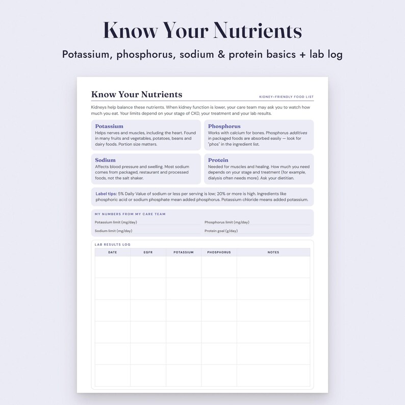Kidney Diet Food List Printable, CKD Low Potassium Foods, Grocery List, Letter A4 image 6