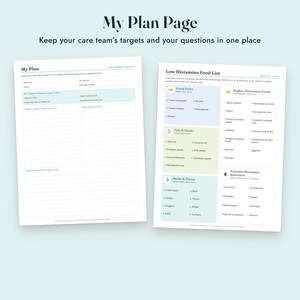 Low Histamine Food List Printable, Histamine Diet Grocery List, Food Diary, Letter A4 imagen 8