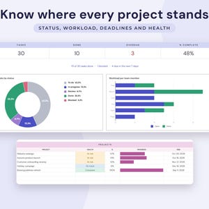 Project Management Template Google Sheets, Gantt Chart, Kanban Board, Team Task Tracker Spreadsheet image 4