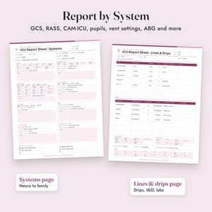 Nurse Report Sheet ICU, Fillable Critical Care Brain Sheet, Drips, Flowsheet, SBAR, Letter A4 image 5
