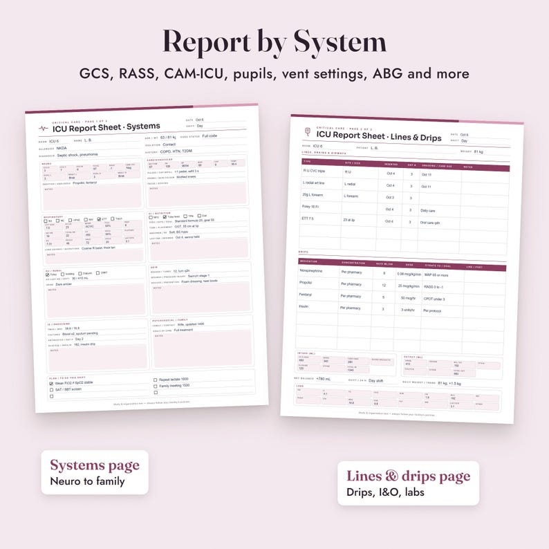 Nurse Report Sheet ICU, Fillable Critical Care Brain Sheet, Drips, Flowsheet, SBAR, Letter A4 image 5