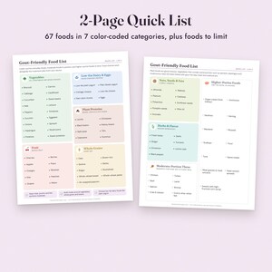 Gout Food List Printable, Low Purine Diet Chart, Grocery List, Flare Log, Letter A4 image 4