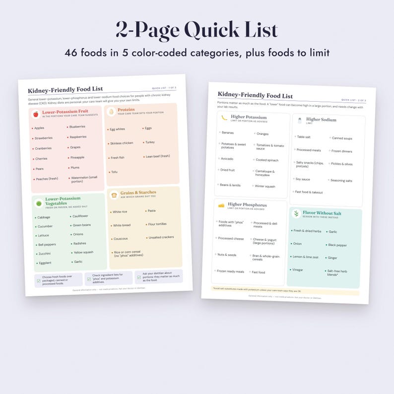 Kidney Diet Food List Printable, CKD Low Potassium Foods, Grocery List, Letter A4 image 4
